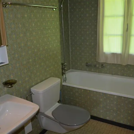 Rehweid - 2- Stock By Interhome 公寓 格施塔德